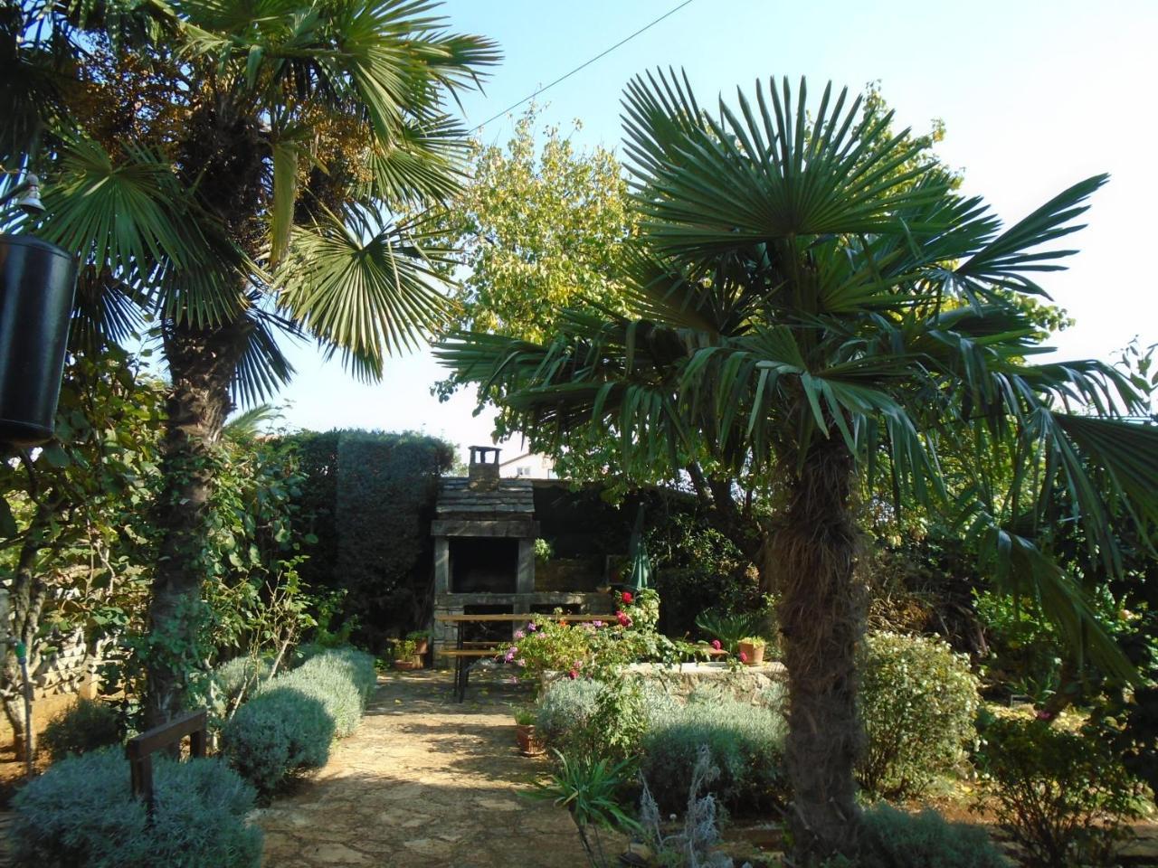 Villa Maria Novigrad Istria Buitenkant foto