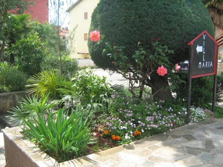 Villa Maria Novigrad Istria Buitenkant foto