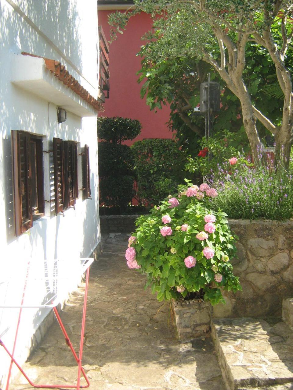 Villa Maria Novigrad Istria Buitenkant foto