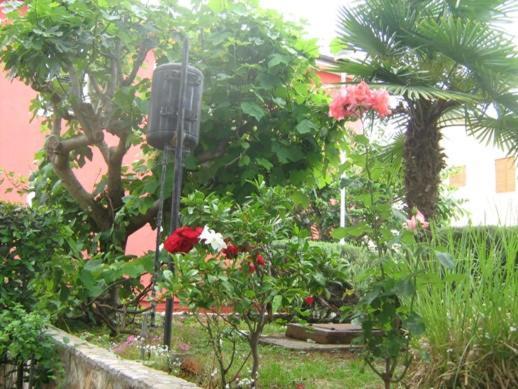 Villa Maria Novigrad Istria Buitenkant foto